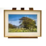 A modern pastel landscape of trees within a field, signed indistinctly Dorothy G..., 48.