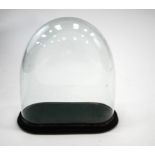 A large Victorian glass dome with base,