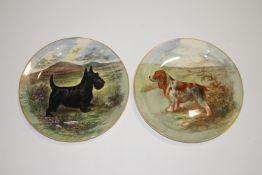 A pair of Royal Doulton cabinet plates, hand painted with a Cocker Spaniel and a Scottish Terrier,
