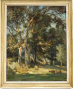Ernest Ehlers RWA (1858-1943) Sheep in wooded landscape oil on panel signed lower right 51cm x 41cm