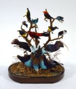 A Victorian taxidermy display of exotic birds, glass dome missing,