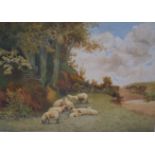 Cattermole Cathrey (late 19th century) Sheep in a Landscape Watercolour and body colour signed