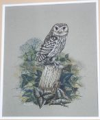 Peter S Britton (Contemporary British) An Owl at Rest Watercolour Signed lower left 28 x 23 cms