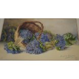 Louise de Gauvain Still Life of Hydrangeas Watercolour Signed and dated 1913 53.