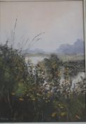 Pamela Derry (1932 - 2002) Riverbank with Wild Grasses Oil on canvas Signed lower left 24.5cm x 34.