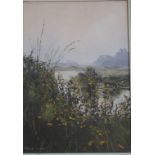 Pamela Derry (1932 - 2002) Riverbank with Wild Grasses Oil on canvas Signed lower left 24.5cm x 34.