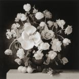 SONDRA WAMPLER (Californian 20th century) "Vaso di Fiori con Frutta II" Black and white painted