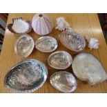 Five abalone shells and others