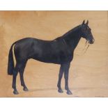 * Frances Mabel Hollams (1877-1963) – oil on panel - Portrait of the racehorse 'Uncle Remus', signed