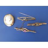 A 9ct gold oval cameo brooch and three other brooches. (4)