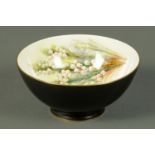 A Royal Worcester bowl, handpainted with foxgloves, etc., by W. Hale, puce mark to base.