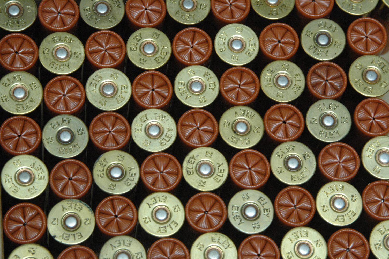 SHOTGUN CERTIFICATE REQUIRED - 105 12 bore cartridges,