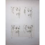 MICHAEL AYRTON [1921-75]. Zeus Heads. Etching, edition of 75, 10/75. Signed in pencil. Another