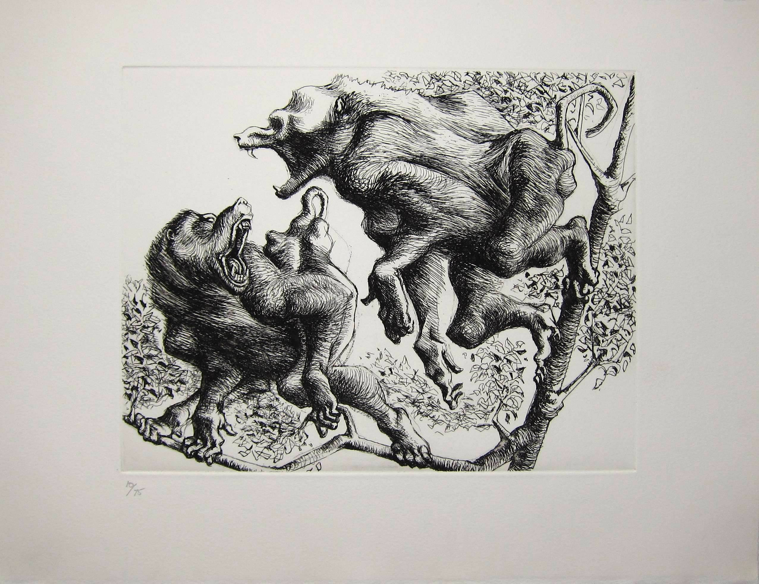 MICHAEL AYRTON [1921-75]. Baboons, 1975. Etching, edition of 75, 10/75. Studio stamp signature on