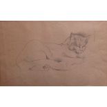 MICHAEL AYRTON [1921-75]. Cat Asleep, c.1953. Pencil on light brown paper. 32 x 51 cm [with mount