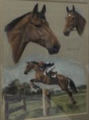 MARY BROWNING "Danville 1982", study of a cross country horse, pastel,
