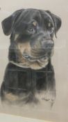 V L FARMER "Study of Rottweiler", pastel, signed lower right,