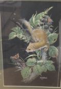 MITCHELL "Stoat admiring a butterfly on a blackberry covered branch",