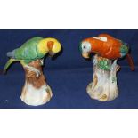 Two Dresden porcelain parrot figures, each raised on a naturalistic tree stump CONDITION REPORTS