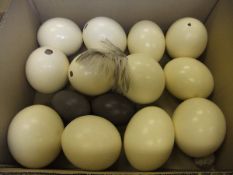 WITHDRAWN A box of assorted Ostrich / Emu egg shells,