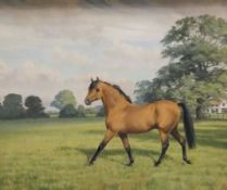 MAURICE TULLOCK "Bay horse in field", oil on canvas,