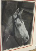 ENGLISH SCHOOL "Rooster Booster", charcoal study of horse's head, indistinct signature bottom right,