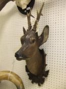 A painted and carved wood Roe Deer head set with real antlers, on a leaf decorated plaque,