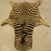 A Plains (Chapman's) Zebra pelt