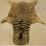 A Plains (Chapman's) Zebra pelt