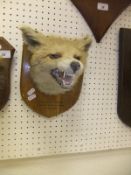 A stuffed and mounted Fox mask,