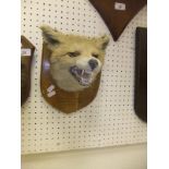 A stuffed and mounted Fox mask,