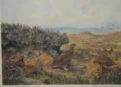 AFTER C. STANLEY TODD "Grouse amongst heather", colour print, together with B.