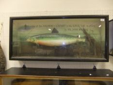 A modern carved wooden Salmon, set in a glass fronted display case,