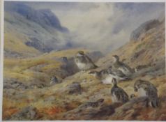 AFTER ARCHIBALD THORBURN "English Partridge in a snowy landscape",