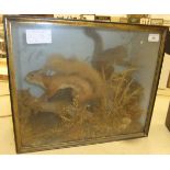 A pair of Victorian stuffed and mounted Red Squirrels, set in naturalistic setting,