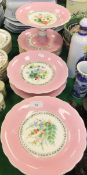 A 19th Century Continental pink ground floral spray decorated dessert service comprising ten plates,