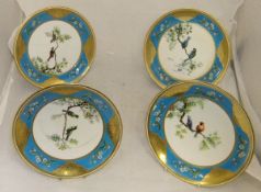 Three Victorian Minton plates decorated with birds amongst blossoming foliage within a turquoise