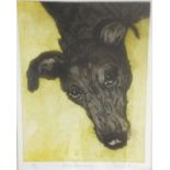 AFTER SONIA ROLLO "Day Dreaming", study of whippet type dog head, limited edition colour print No'd.