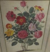 ENGLISH SCHOOL "Study of flowers", colour print with V&A blind studio stamp lower right, one other,