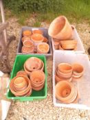 A large collection of assorted terracotta garden pots