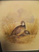 AFTER SUE WHITAKER "Grey Partridge", limited edition colour print No'd.