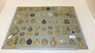 Eight boards and a small tub of military cap badges, collar dogs and shoulder badges,