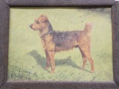 A G PAICE "Jimmy", study of a terrier, oil on board, signed lower left,