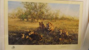 AFTER DAVID SHEPHERD "First light at Savuti", study of a pride of lions, limited edition No'd.