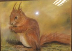 Two boxes of pictures and prints to include E B "Study of red squirrel", pastel, signed lower right,