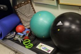 A collection of fitness equipment to include excise/balance balls, free weights,