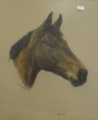 MARY BROWNING "Bay Leaf, Show Hunter of the Year 1981", study of a horse's head, pastel,