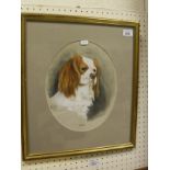 CH WOOD "Bilbo" head study of spaniel watercolour, heightened in white,