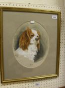 CH WOOD "Bilbo" head study of spaniel watercolour, heightened in white,