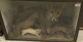 A mid 20th Century stuffed and mounted Fox with two stoats set in naturalistic setting and glass